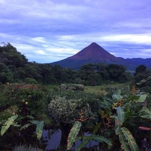 Meet your Posher, Gretchen